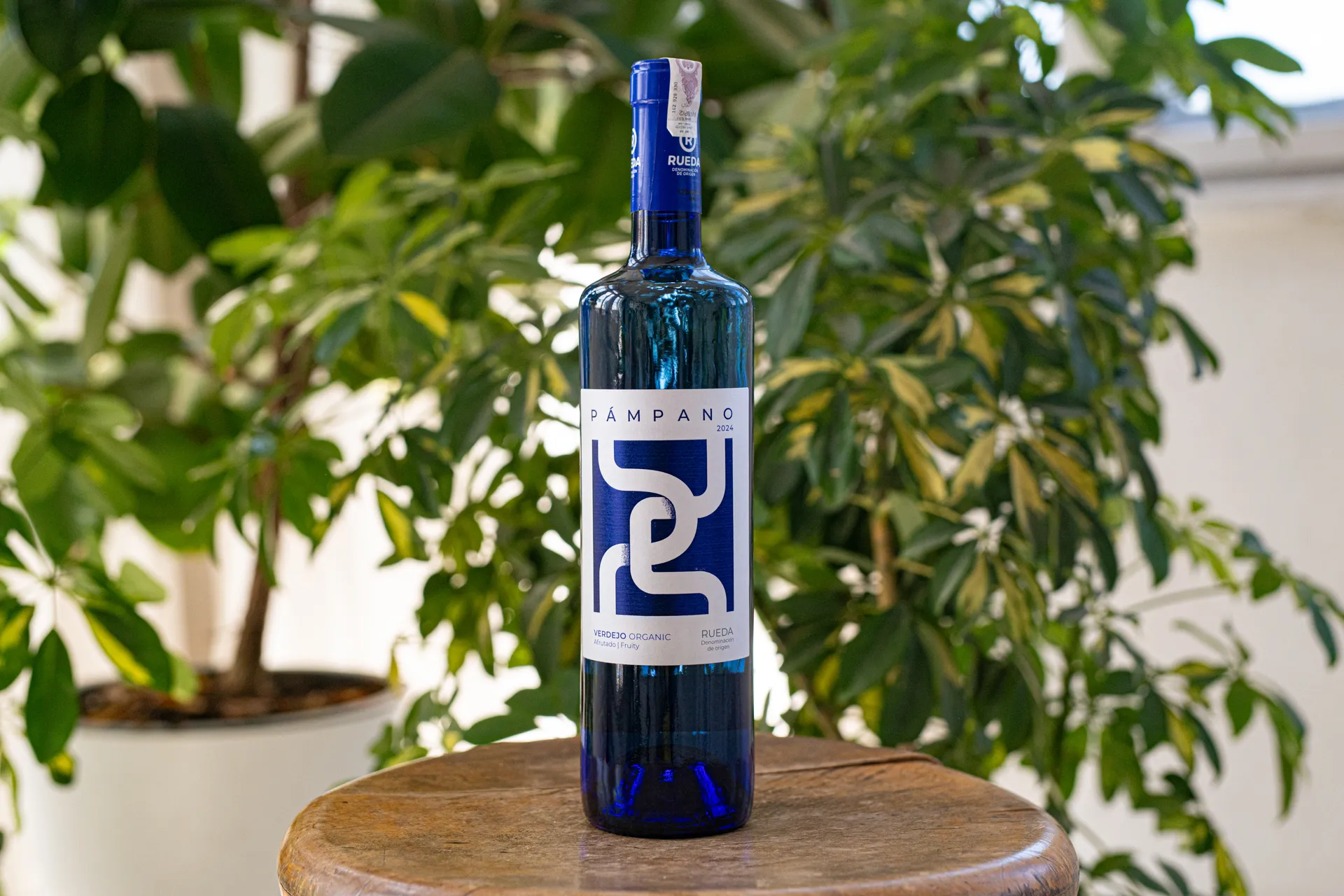 WINO BIAŁE PÓŁSŁODKIE CUATRO RAYAS PAMPANO