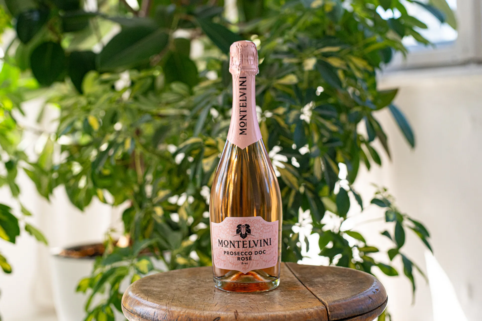 PROSECCO ROSÉ BRUT MONTELVINI